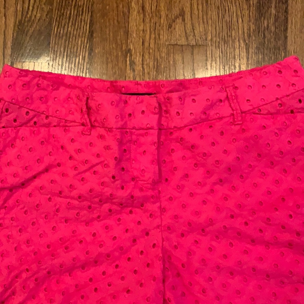 The Limited Shorts